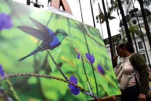 Cali: Birdfaid en Cali, feria de las aves. Exposiciones y charlas con los mejores pajareros participantes del evento. foto José L Guzmán. El País