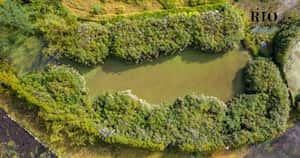 Este ecosistema, descrito como un tesoro escondido por la autoridad ambiental, está ubicado en predios particulares en los que operaba, hasta hace poco tiempo, una empresa de construcción. Foto: cortesía CAR.