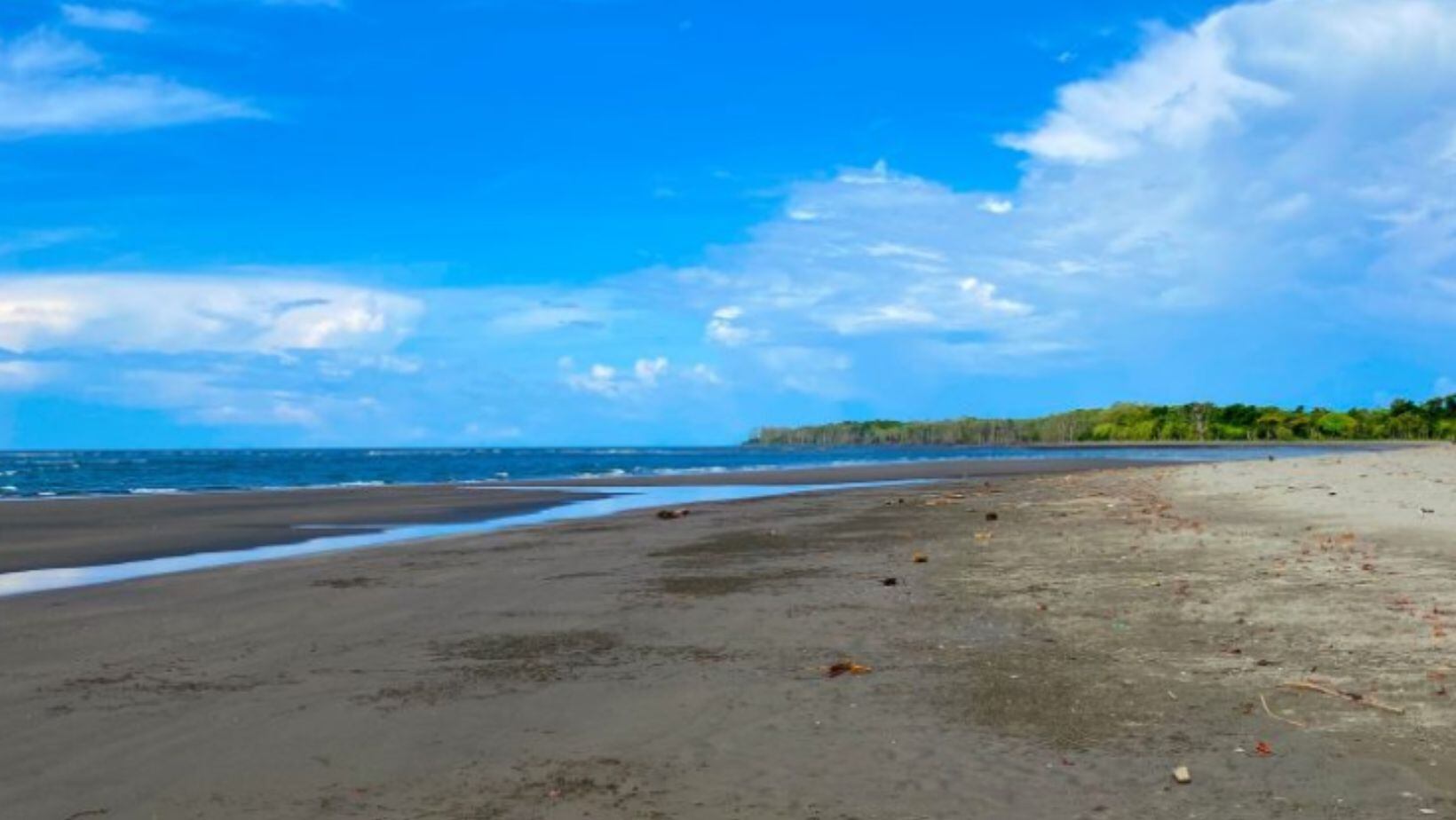 Sanquianga, el reino de los manglares y hogar de tortugas marinas en Colombia