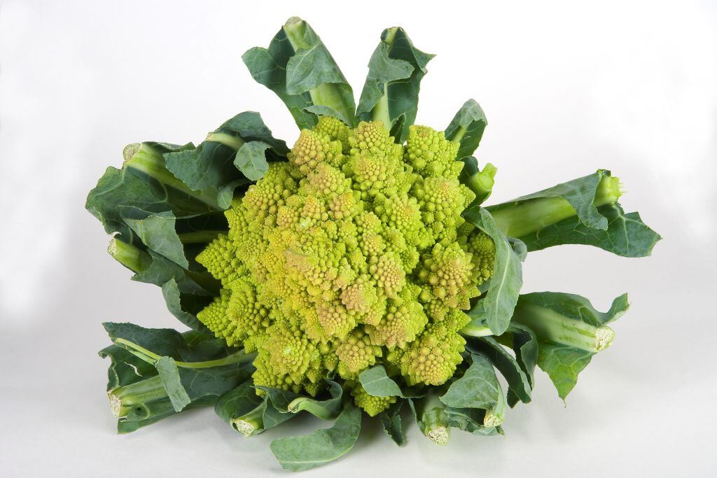 Col "Romanesco". cabbage. (Photo by: Paroli Galperti/REDA&CO/Universal Images Group via Getty Images)