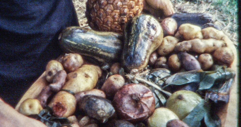 La obra independiente_8