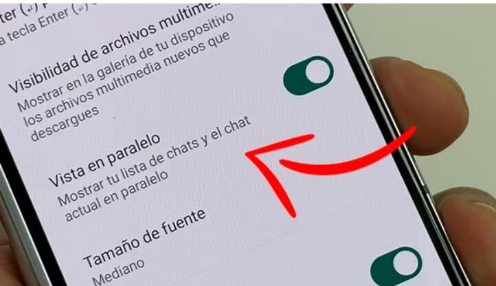 Opción Vista en paralelo de WhatsApp