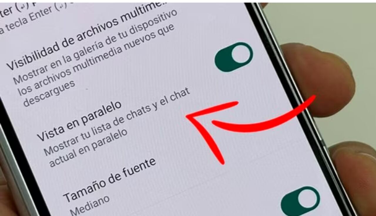 Opción Vista en paralelo de WhatsApp