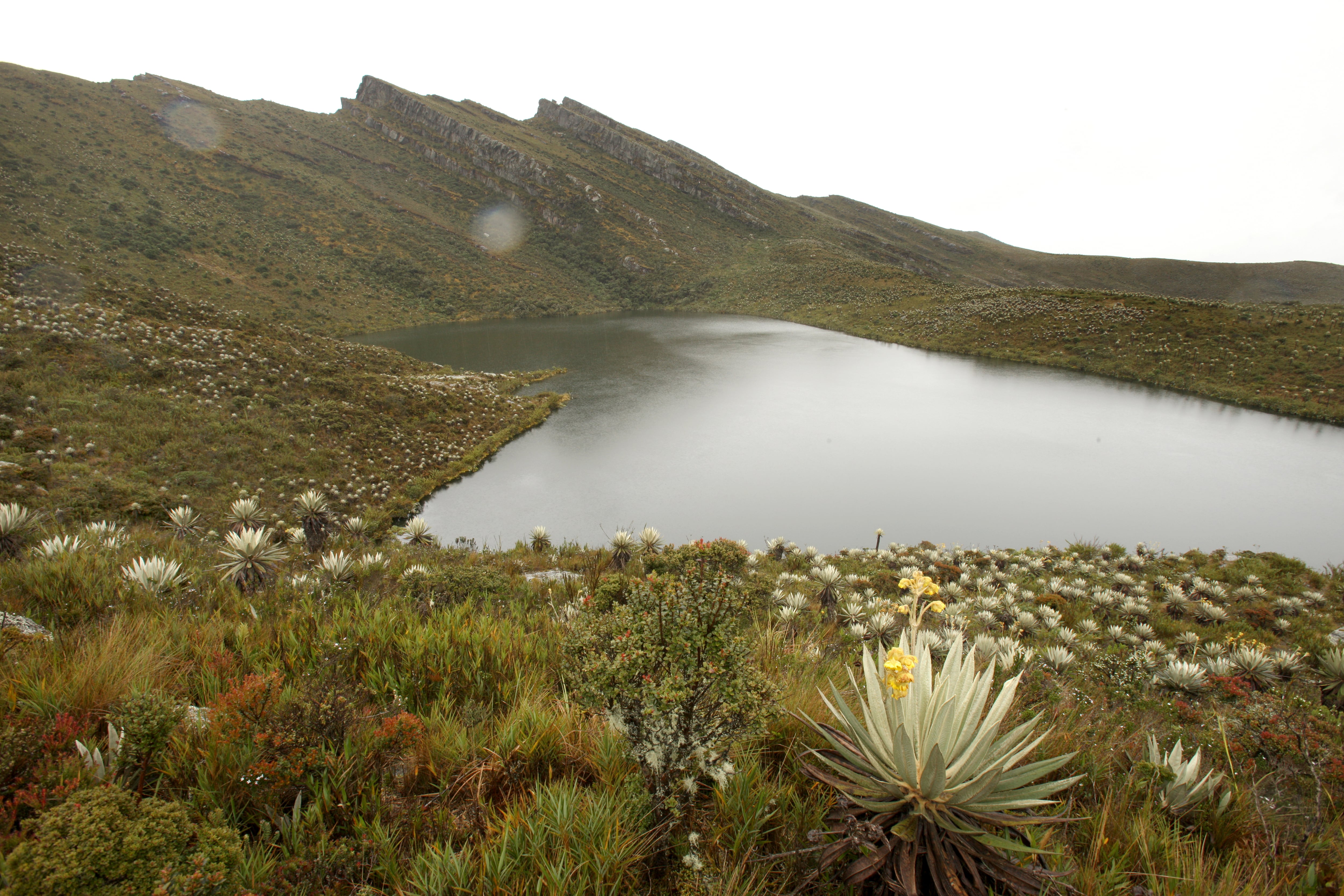 PARQUE NATURAL PARAMO