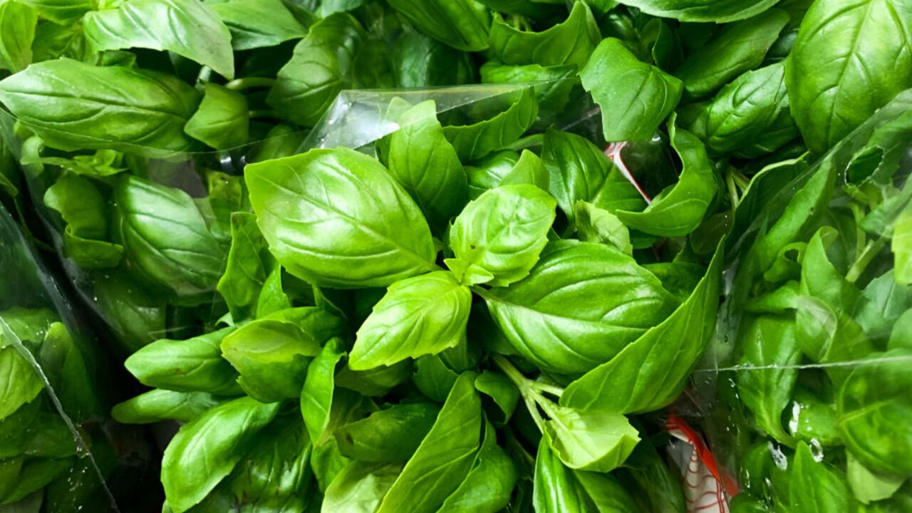 La albahaca se relaciona con buena suerte y prosperidad.