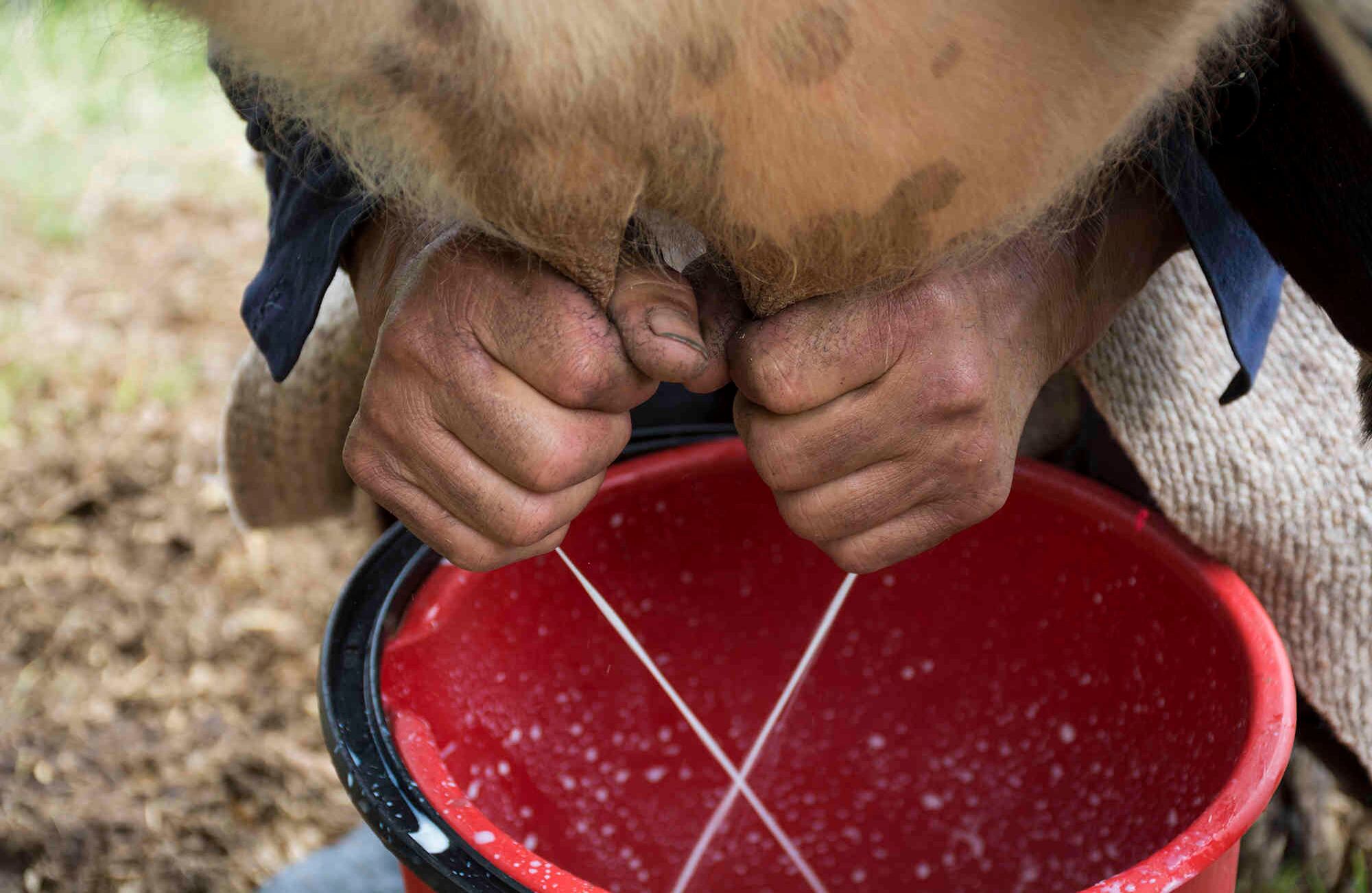 Foto: Gabriel González C. | Semana