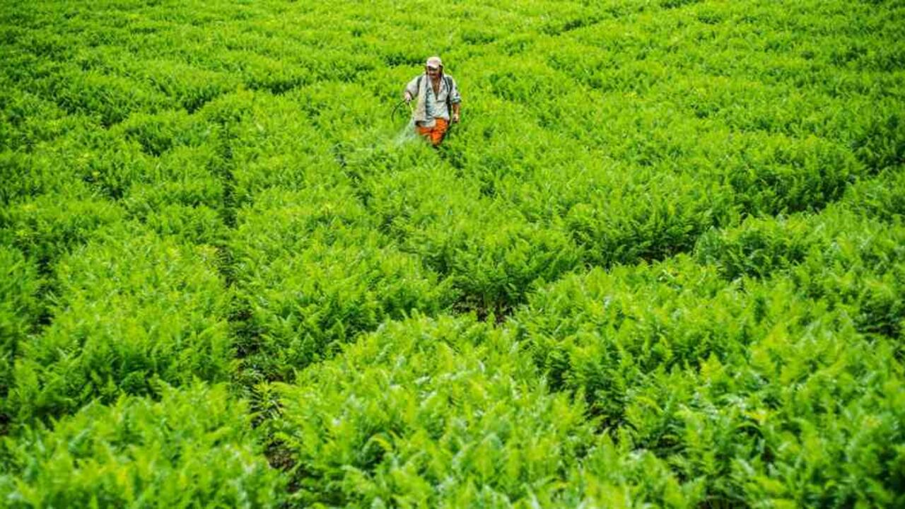 En el último año Colombia produjo más de 65 millones de toneladas de alimentos.