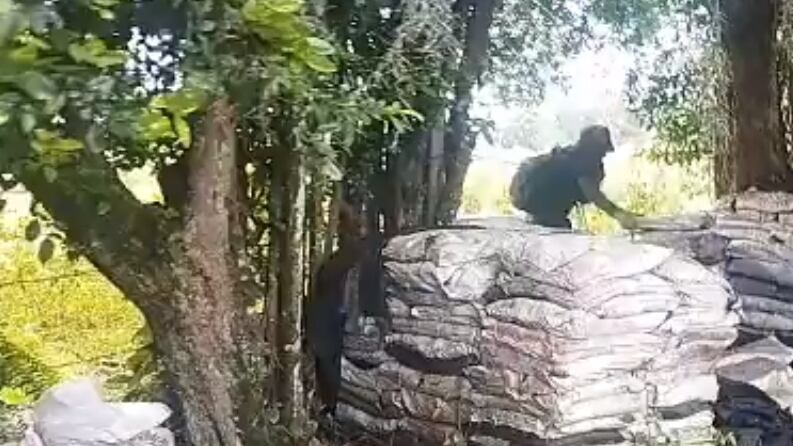 Un hombre fue sorprendido con machete en mano destruyendo trinchera del Ejército en Caloto, Cauca.