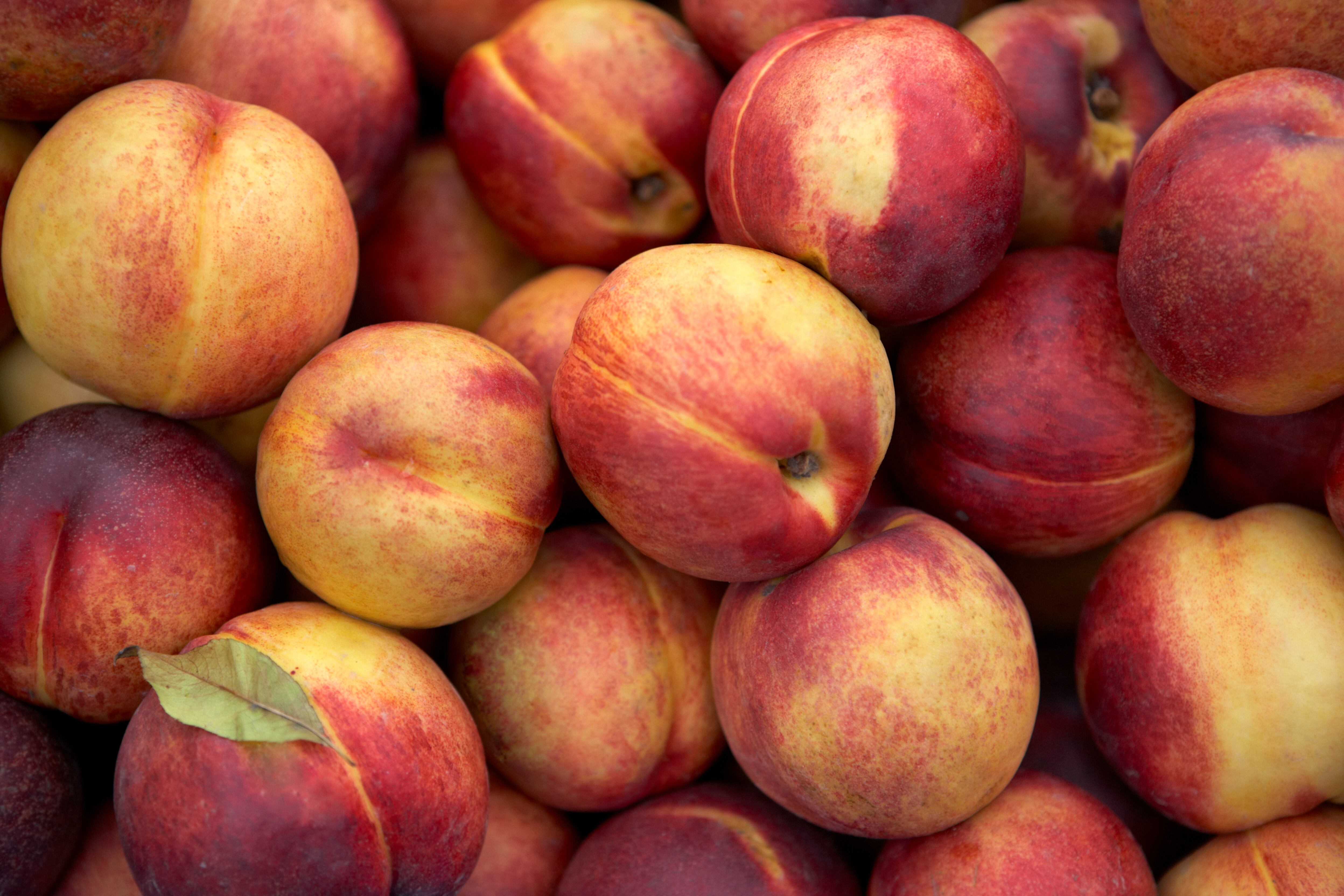 Melocotón, melocotones