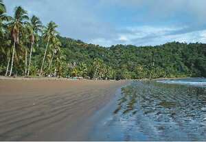 Bahía Solano en Chocó – Si toma este destino encontrará además de mar, ríos cristalinos, quebradas de agua pura, manglares y mucha selva.