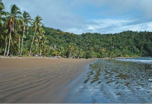 Bahía Solano en Chocó – Si toma este destino encontrará además de mar, ríos cristalinos, quebradas de agua pura, manglares y mucha selva. 