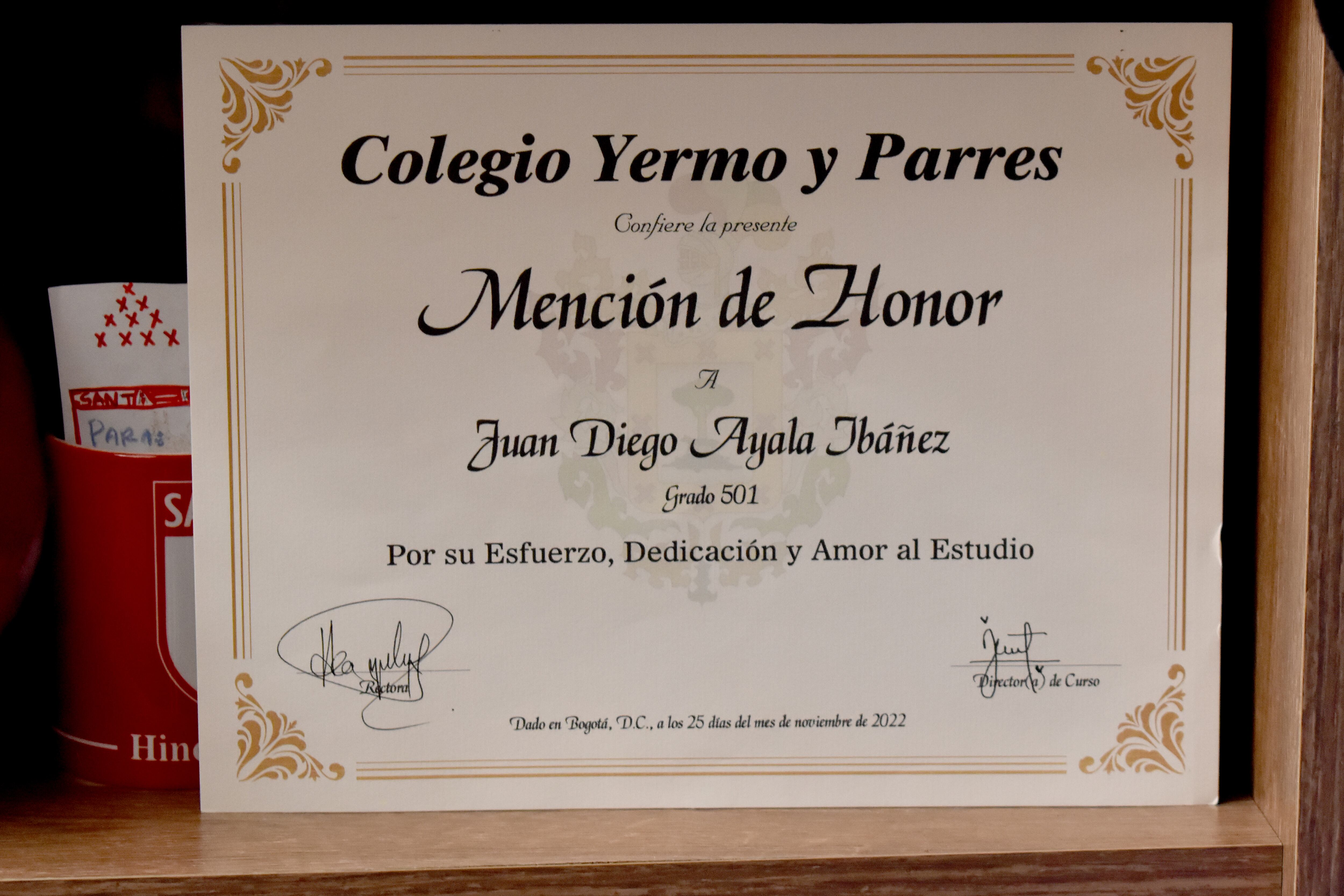 JUAN DIEGO AYALA VELEZ