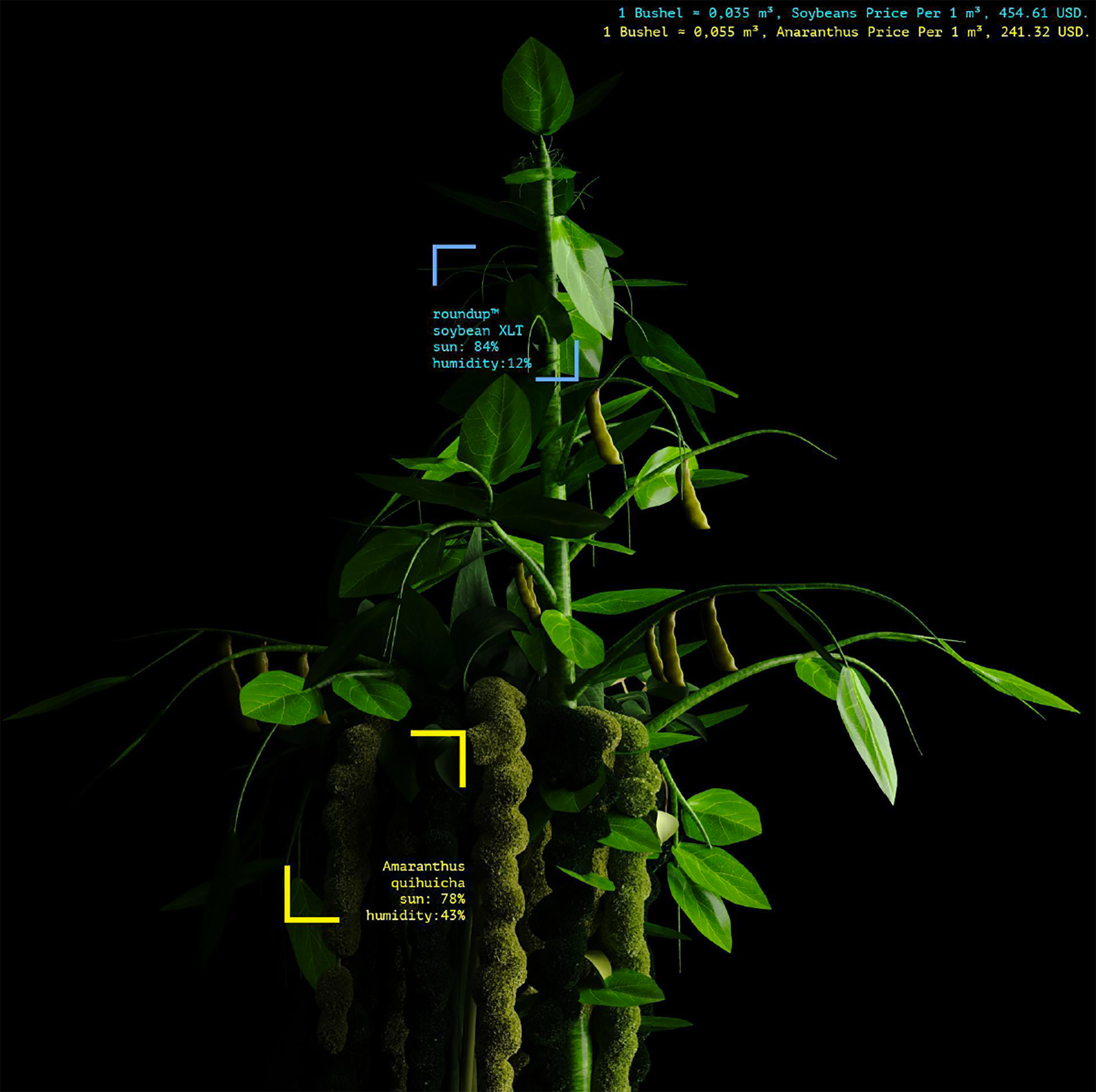 Historia de dos semillas