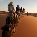 Turistas en medio de un desierto