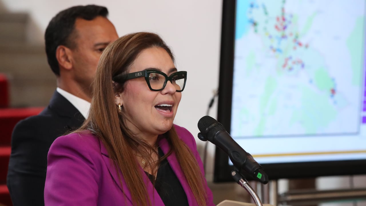 Karen Schutt, viceministra de Energía, se refirió a las pérdidas que Ecuador tiene por el corte de la venta de energía por parte del Gobierno.