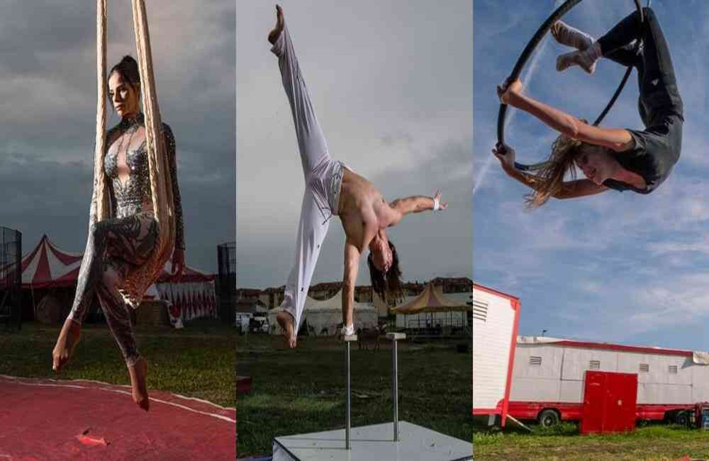 Tras el cierre nacional de eventos públicos para contener la propagación de la covid-19 en Italia, cerca de 60 animales y siete familias quedaron atrapadas fuera de casa. AP-Alessandra Tarantino