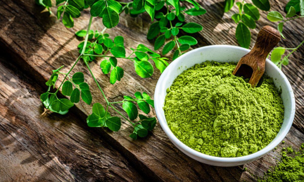 La moringa fue una de las hierbas más utilizadas para la Covid-19.