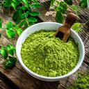 La moringa fue una de las hierbas más utilizadas para la Covid-19.