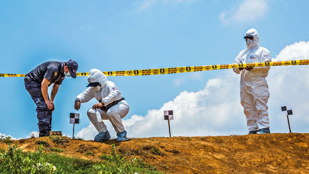 Imagen de referencia