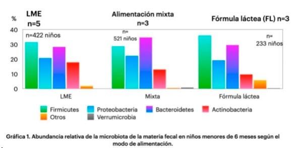 Vargas Salamanca evidenció cómo las dietas exclusivas con leche materna (LME)- o combinadas con alimentación complementaria- tienen una distribución más homogénea en los grupos de microorganismos que conforman la microbiota, mientras que la alimentación con fórmula láctea (FL) presenta niveles bajos de pre y probióticos. Imagen sacada del informe oficial titulado “Los mil días claves para la salud de la vida humana''.