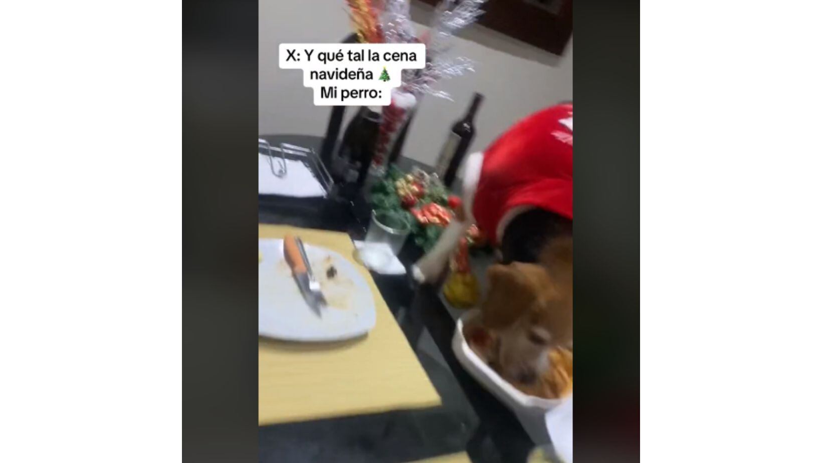 Perro se vuelve viral tras aprovechar la entrega de regalos para comerse la cena de Navidad