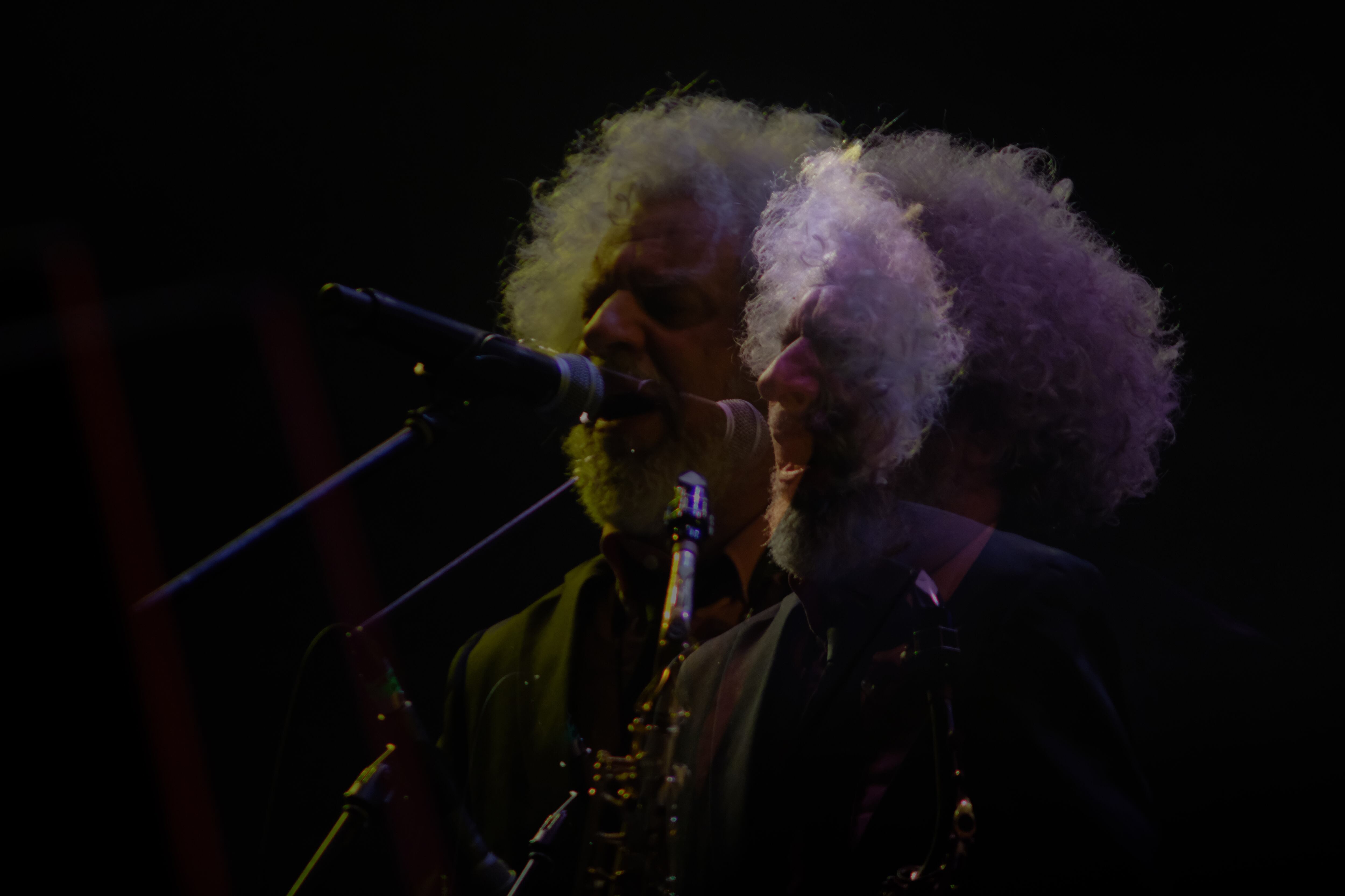 Los Fabulosos Cadillacs en el FESTIVAL CORDILLERA 2022.