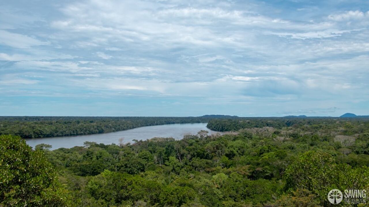 Amazonas