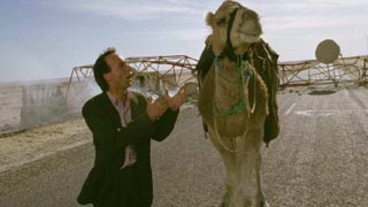 El poeta Attilio (Roberto Benigni) va a Bagdad en busca de una mujer a la que quiere más que a nadie en el mundo.