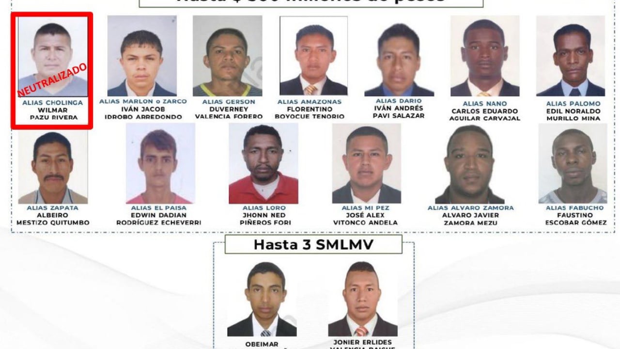El Ministerio de Defensa reportó la muerte de uno de los más buscados en el Cauca.