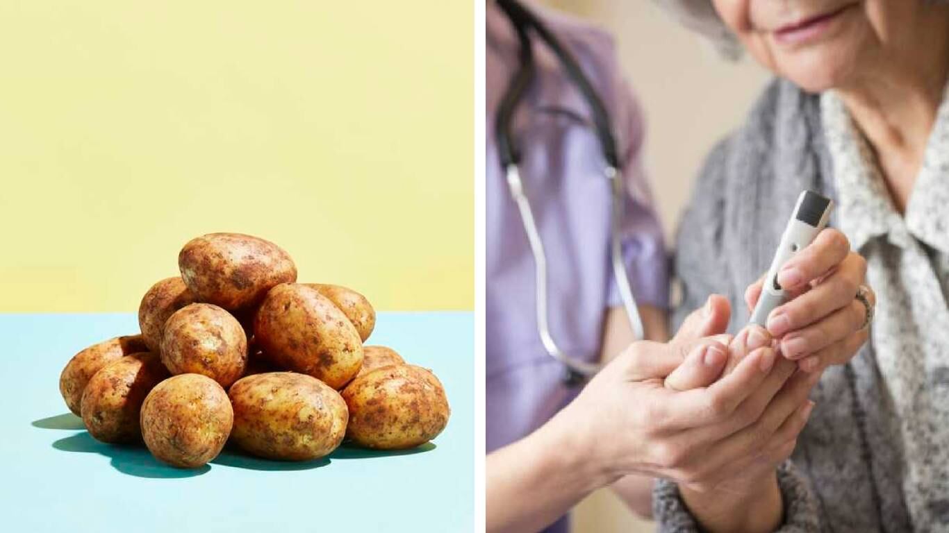 La papa se puede comer en guiso, puré o en otras preparaciones culinarias. Foto: Getty Images. Montaje SEMANA.
