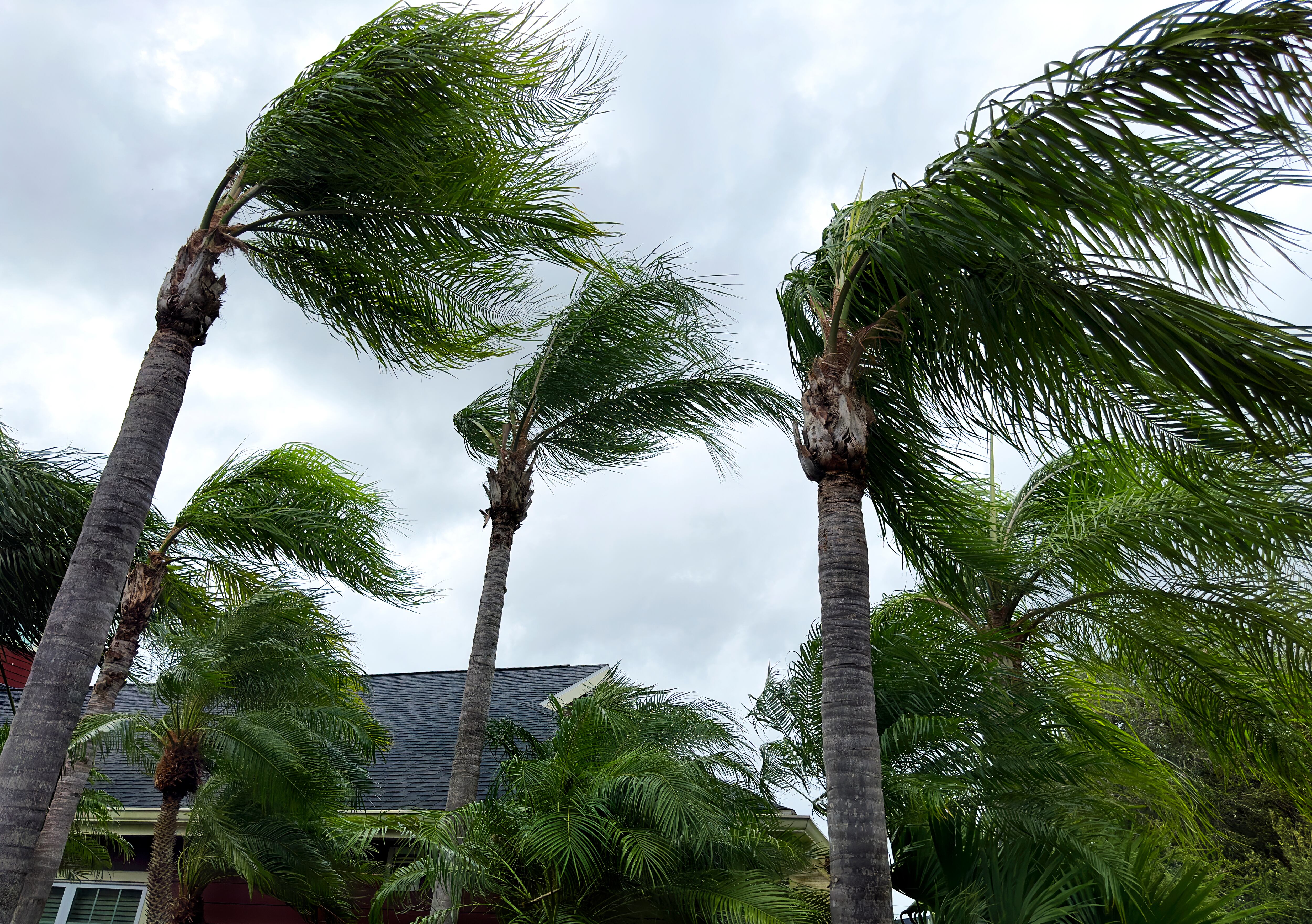 La Dirección General Marítima advirtió sobre vientos entre 37 y 55 km/h y olas de hasta 3,5 metros en varios sectores de la Costa Caribe durante esta semana.