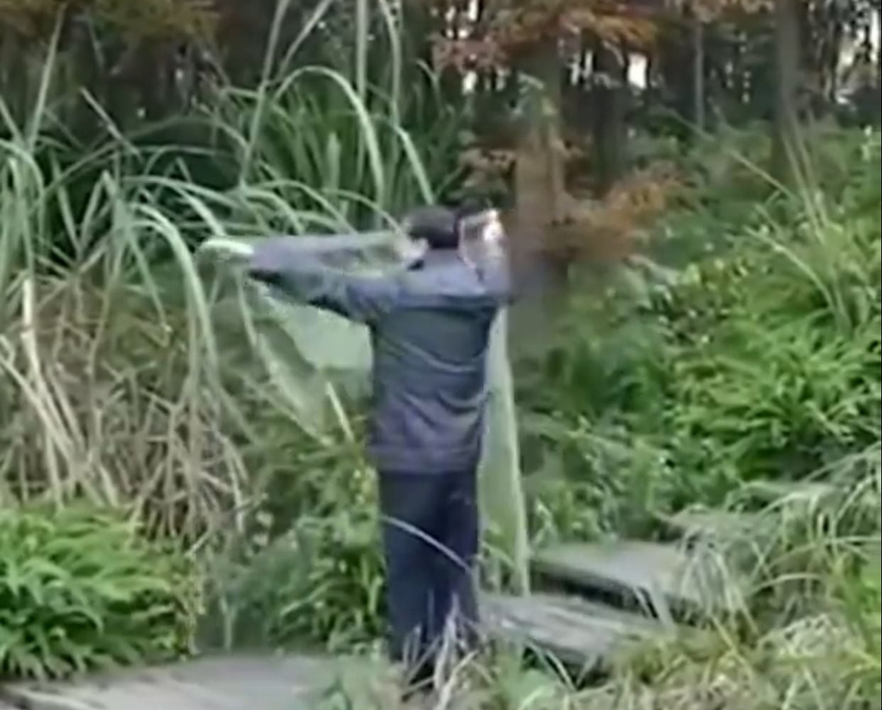 La capa podría volver invisible cualquier objeto