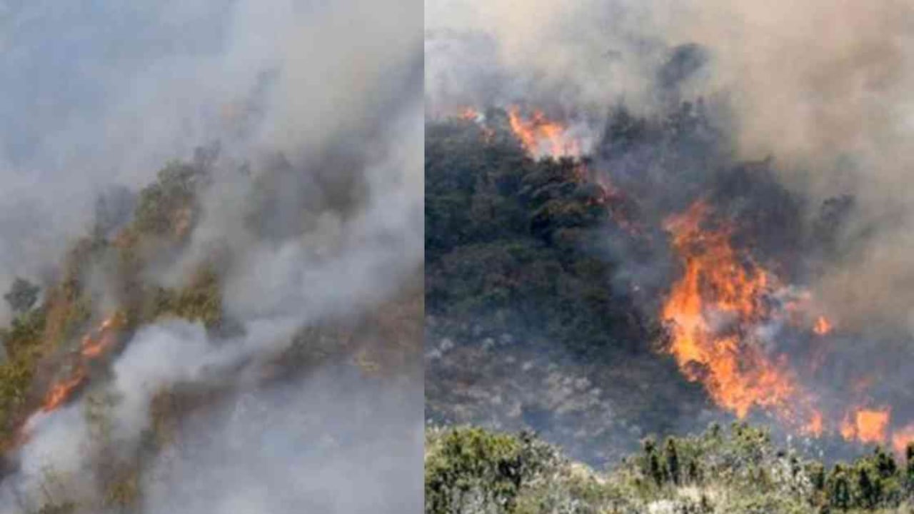 Indígenas arhuacos temen que el fuego llegue a su territorio ancestral. Foto: Twitter Procuraduría.