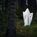 Fantasma en una roca, en el bosque