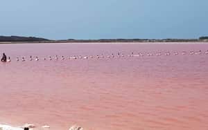 Salinas de Galerazamba
