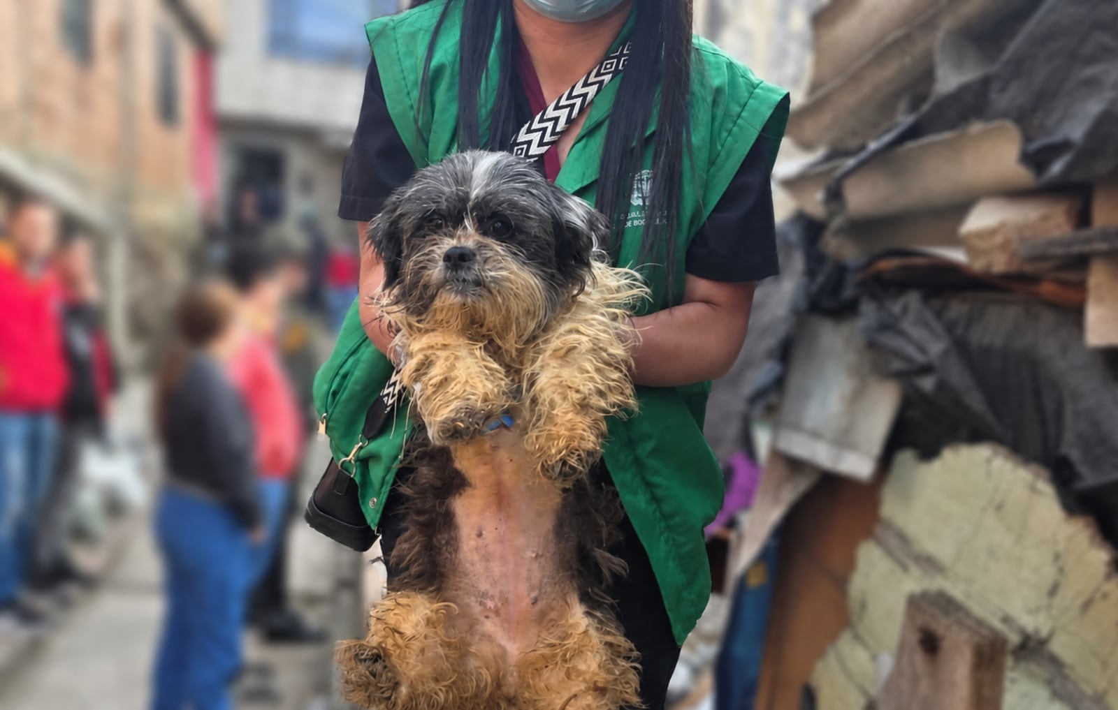 Autoridades de Bogotá rescataron a 32 animales.