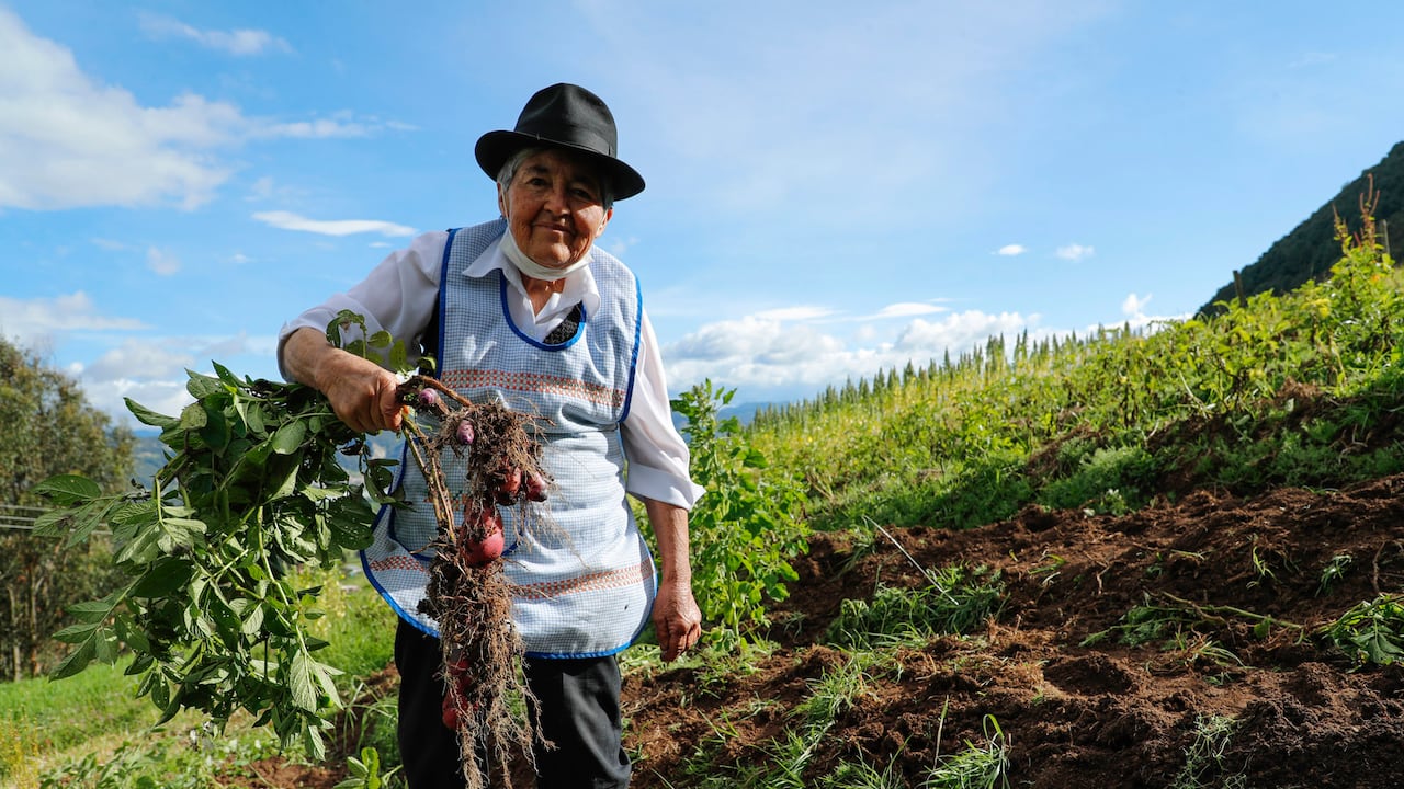 María Lilia Jiménez Ríos, una mujer luchadora que es conocida como la “guardiana de semillas” y su hija Yadira Jiménez creadora del Museo Campesino en la vereda San José, de Gachancipá Cundinamarca
emprendedora emprendimiento turismo mujeres campesinas agricultura
Sept 24 del 2020
Foto Guillermo Torres Reina / Dinero