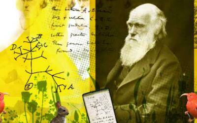 A lo largo de su vida, Charles Darwin sintió curiosidad no sólo por la ciencia, sino por todo lo que le rodeaba. Cada vez que descubría un animal extraño se preguntaba qué sabor tendría después de pasarlo por la plancha.