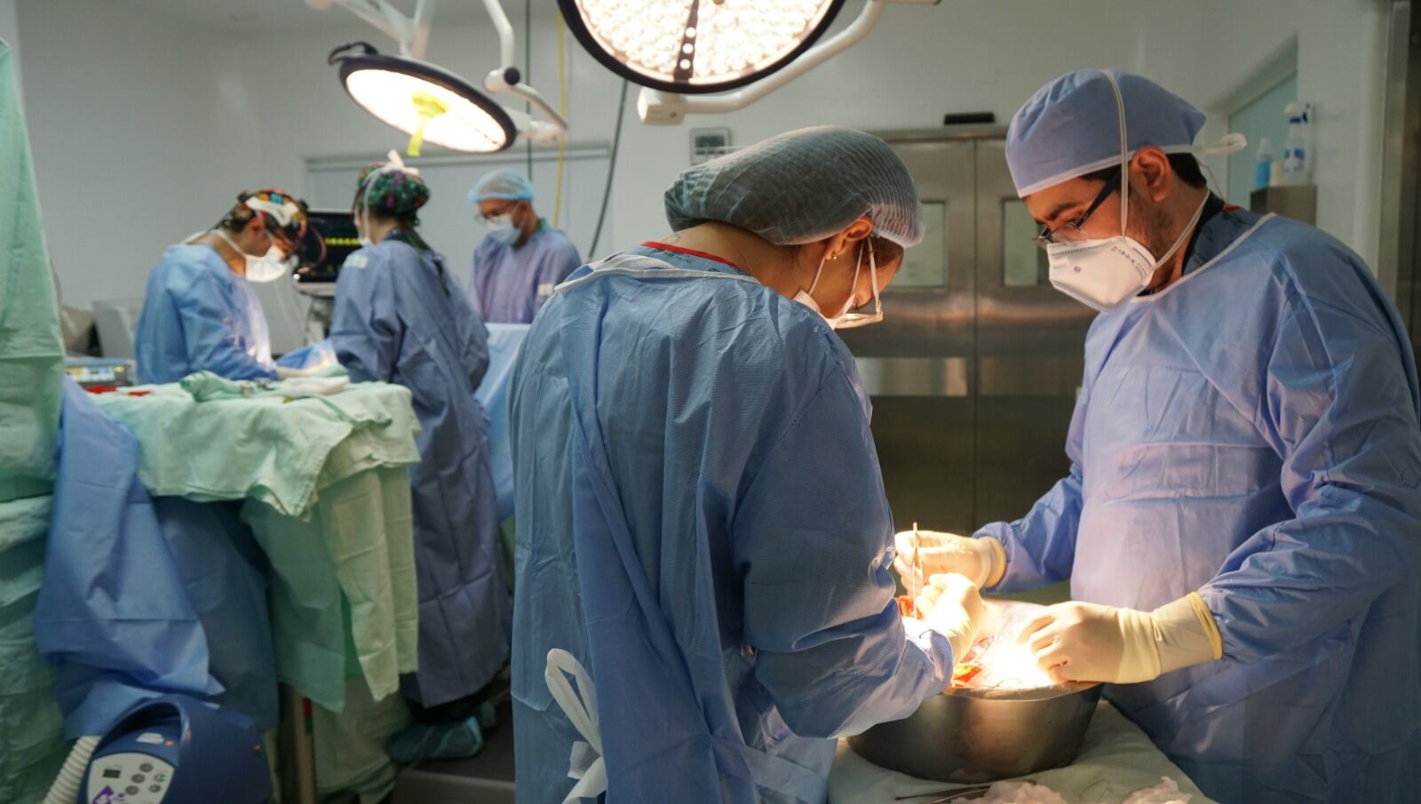 Imagen de referencia cirugía y trasplante de órganos