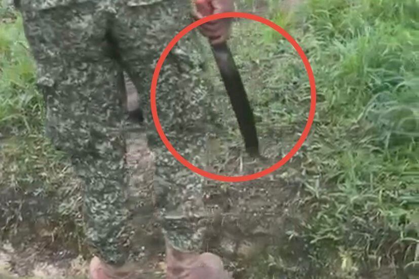 Tres infantes de marina fueron capturados por matar un cachorro.