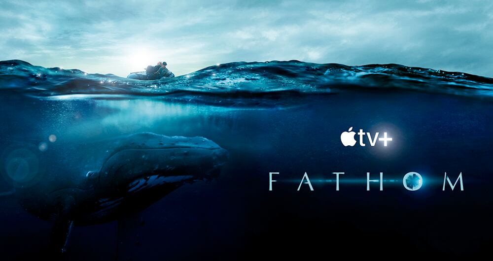 La pantalla grande arde, la pantalla chica vibra_6