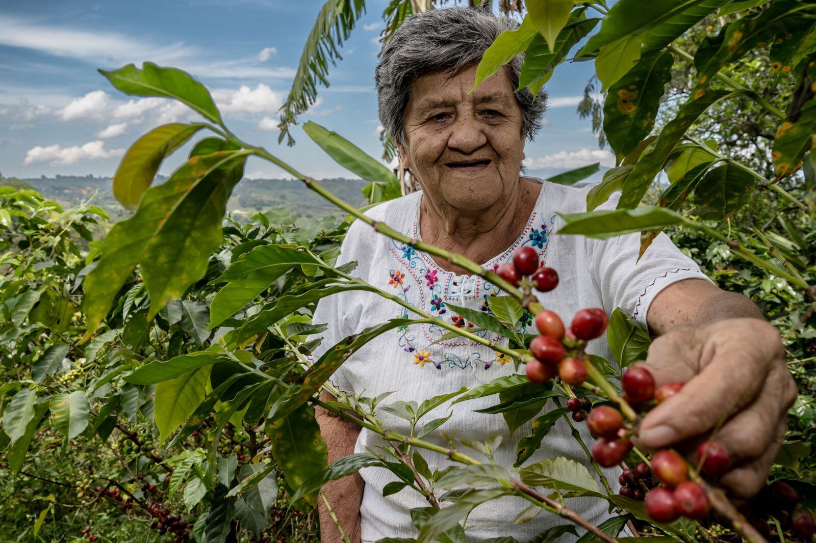 Mujeres en el campo