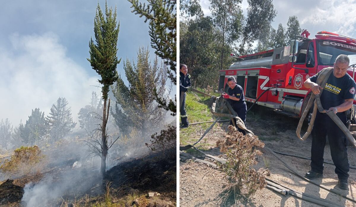 Incendio forestal se registró este sábado en Soacha