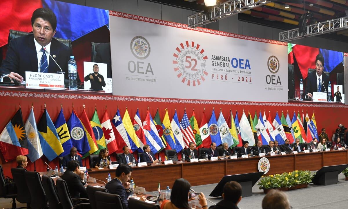 Once estados miembros de la OEA abogan por eliminar el reconocimiento a delegado del Gobierno Guaidó.