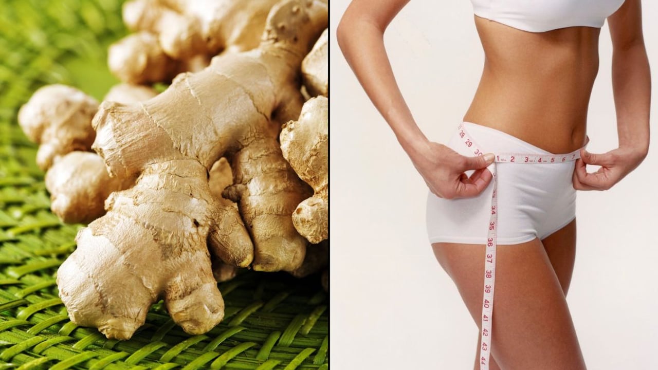 Es realmente en la raíz del jengibre donde se concentran prácticamente todos sus principios activos,