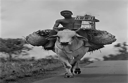 Actualmente, estas comunidades se encuentran en difíciles situaciones sociales, económicas, políticas y territoriales debido a las estructuras de dominación.