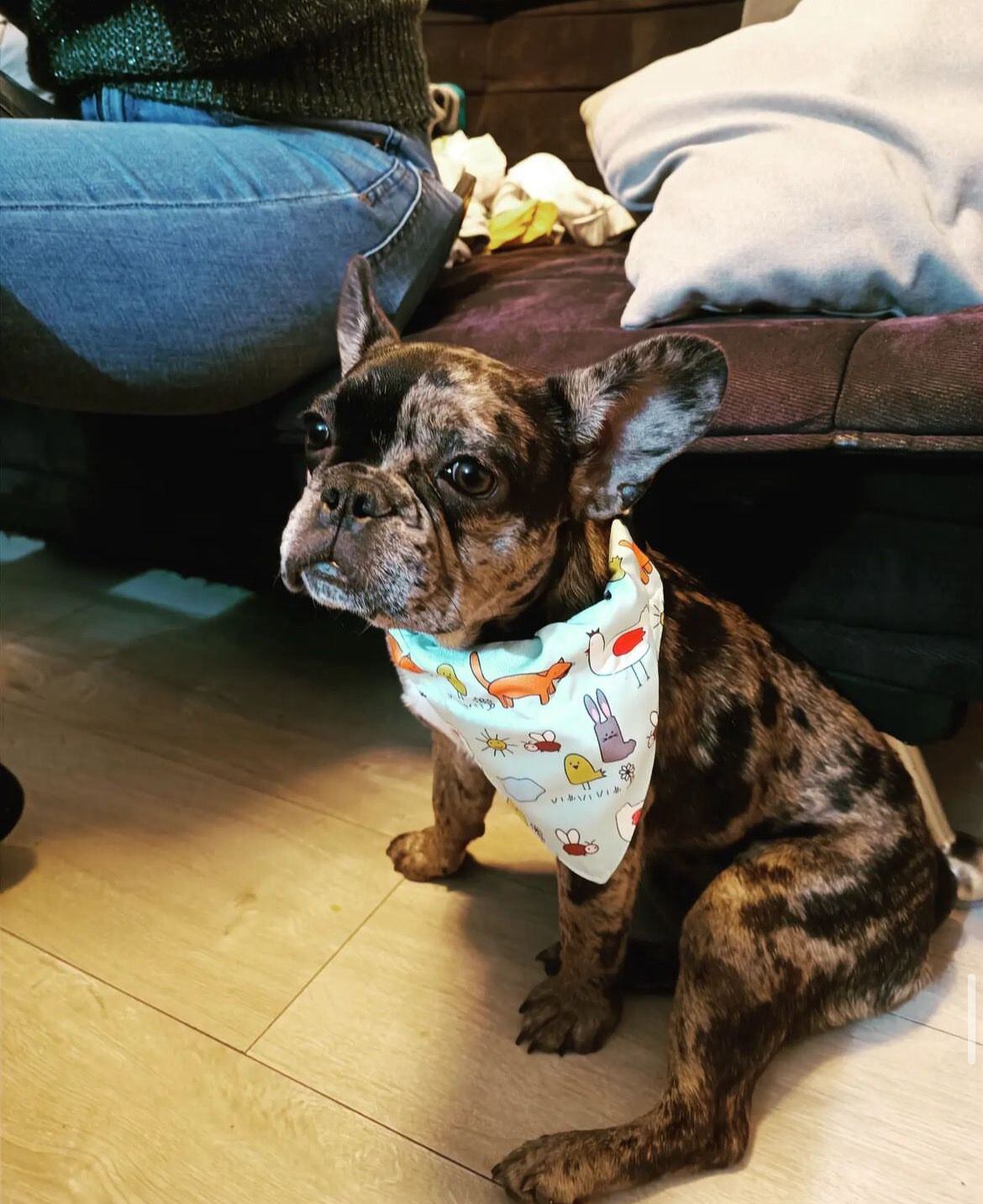 Ginebra, tiene un año y seis meses y sufre de cáncer de paladar