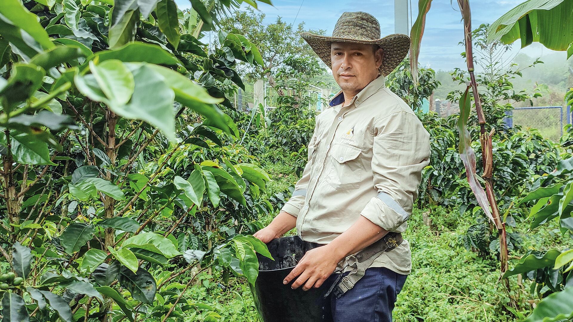 NO USAR, USO EXCLUSIVO MEJOR COLMBIA, Especial Minería, Royal road