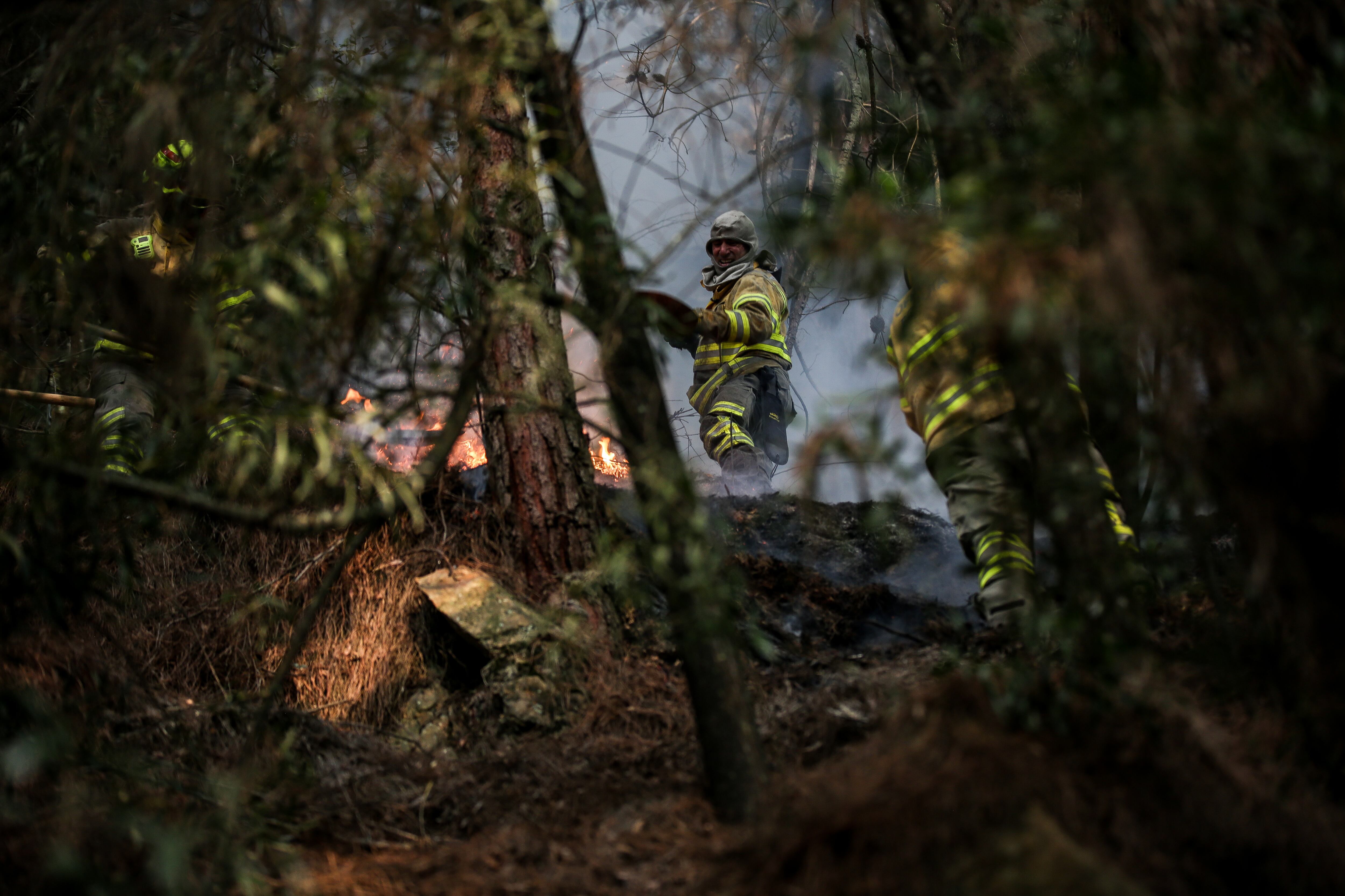 Incendios en la ciudad de Bogotá 
Bomberos, policia, defensa civil y ciudadanos apoyan las labores en los cerros.