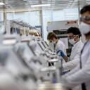 ¿Cura del coronavirus con plasma?, qué hace y por qué lo usa Colombia